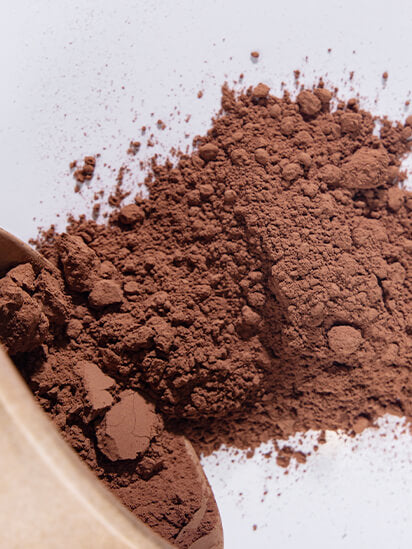 The Wise Chocolate